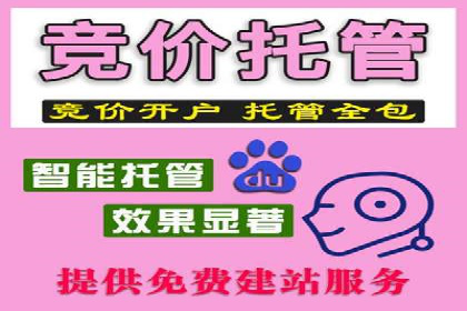 竞价推广代运营服务，助力企业快速扩张